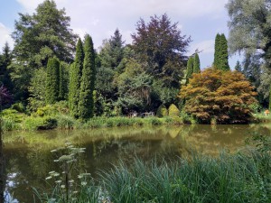 2025-09-09 043 (800x600)